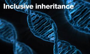 Inclusive inheritance