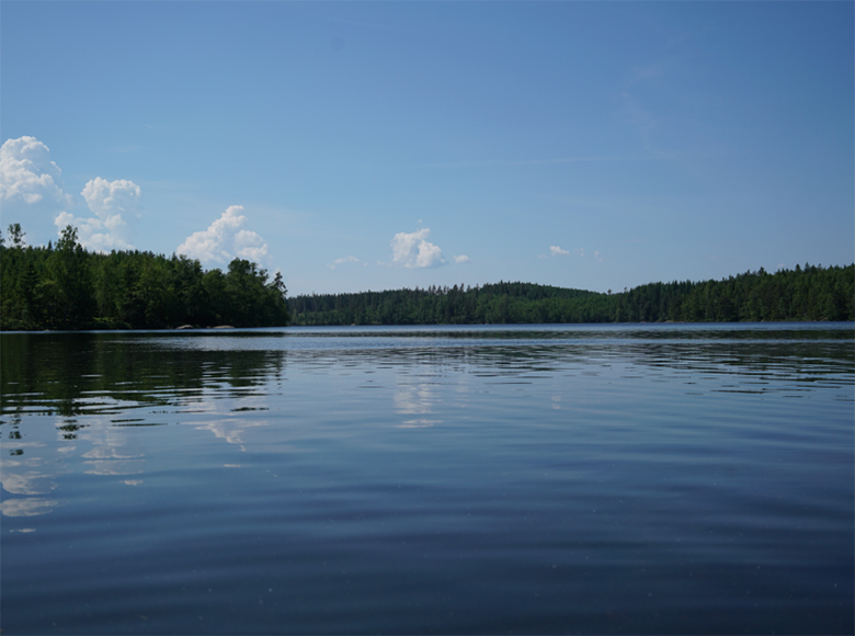 lake where green algae is collected