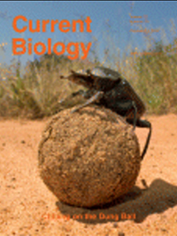 Current Biology front cover