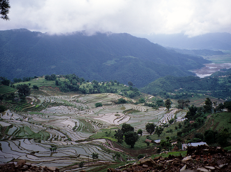 view of steep paddy terraces