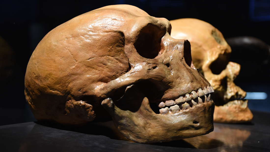 Neanderthals were “doomed” to extinction thumbnail