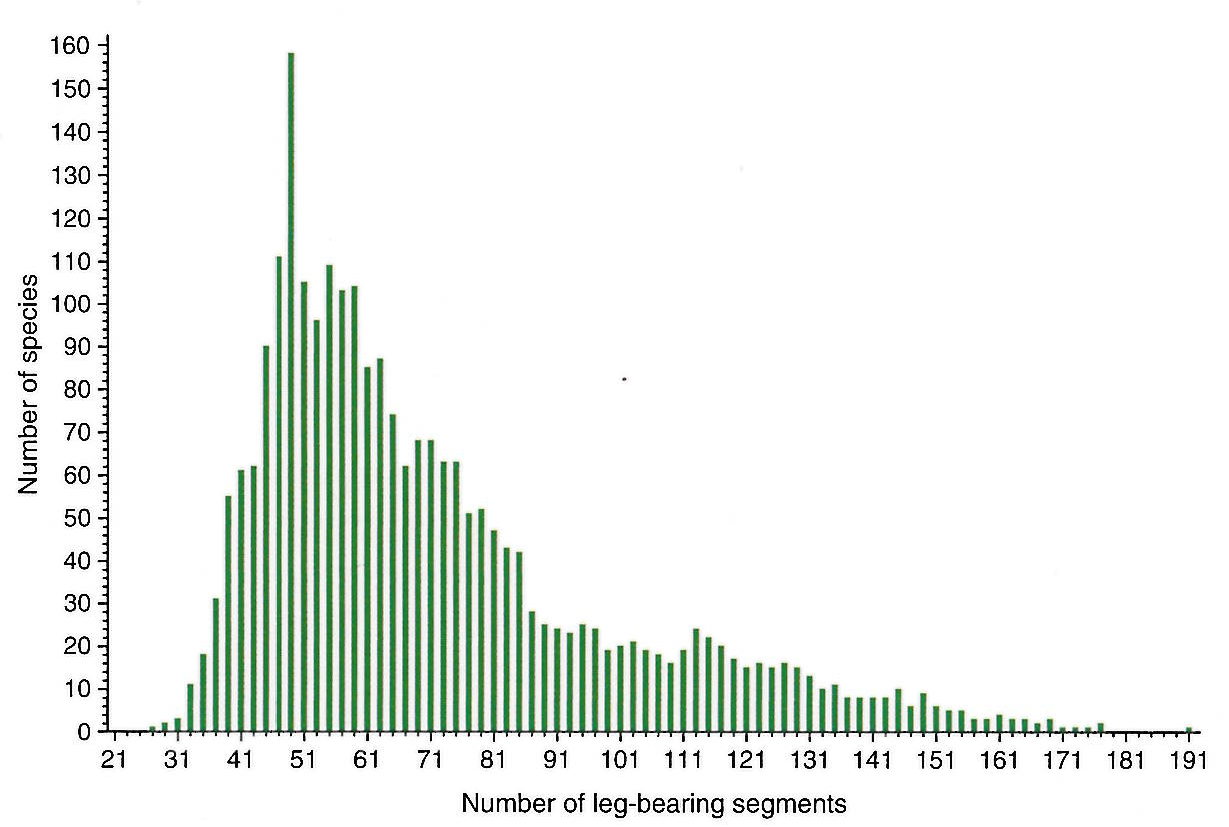 histogram showing a right-skewed distribution of segment number across centipede species