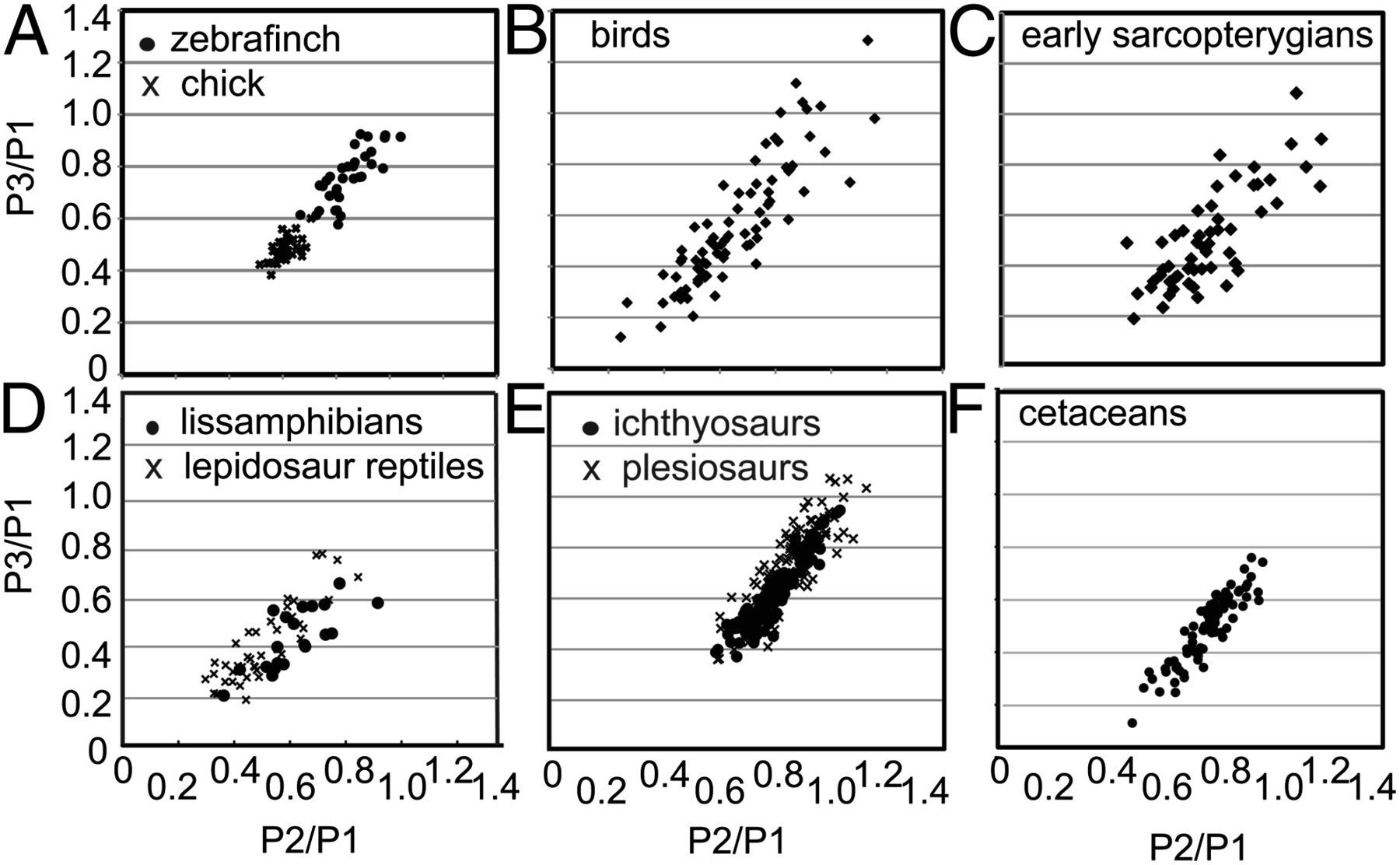 phalange morphospaces for six vertebrate taxa